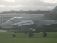 IMGP0059